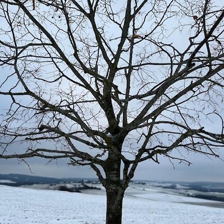 Eifel-Bau-Traum Schlich Villa Wershofen Dış mekan fotoğraf