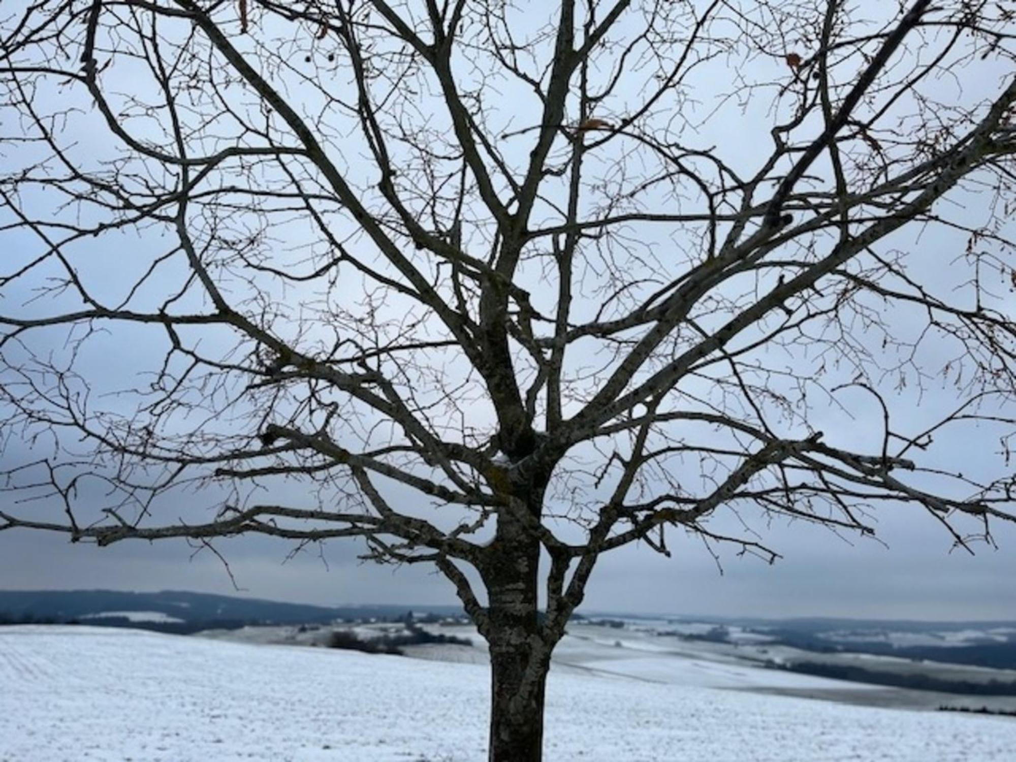 Eifel-Bau-Traum Schlich Villa Wershofen Dış mekan fotoğraf